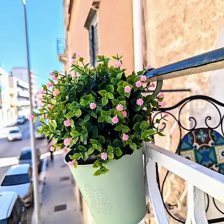 Il Cortile Siciliano トラーパニ